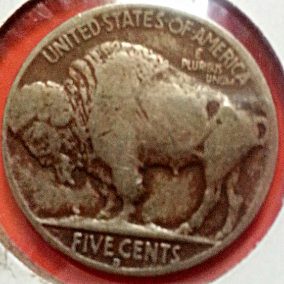 Possible-3-1/2-Legged-Buffalo?